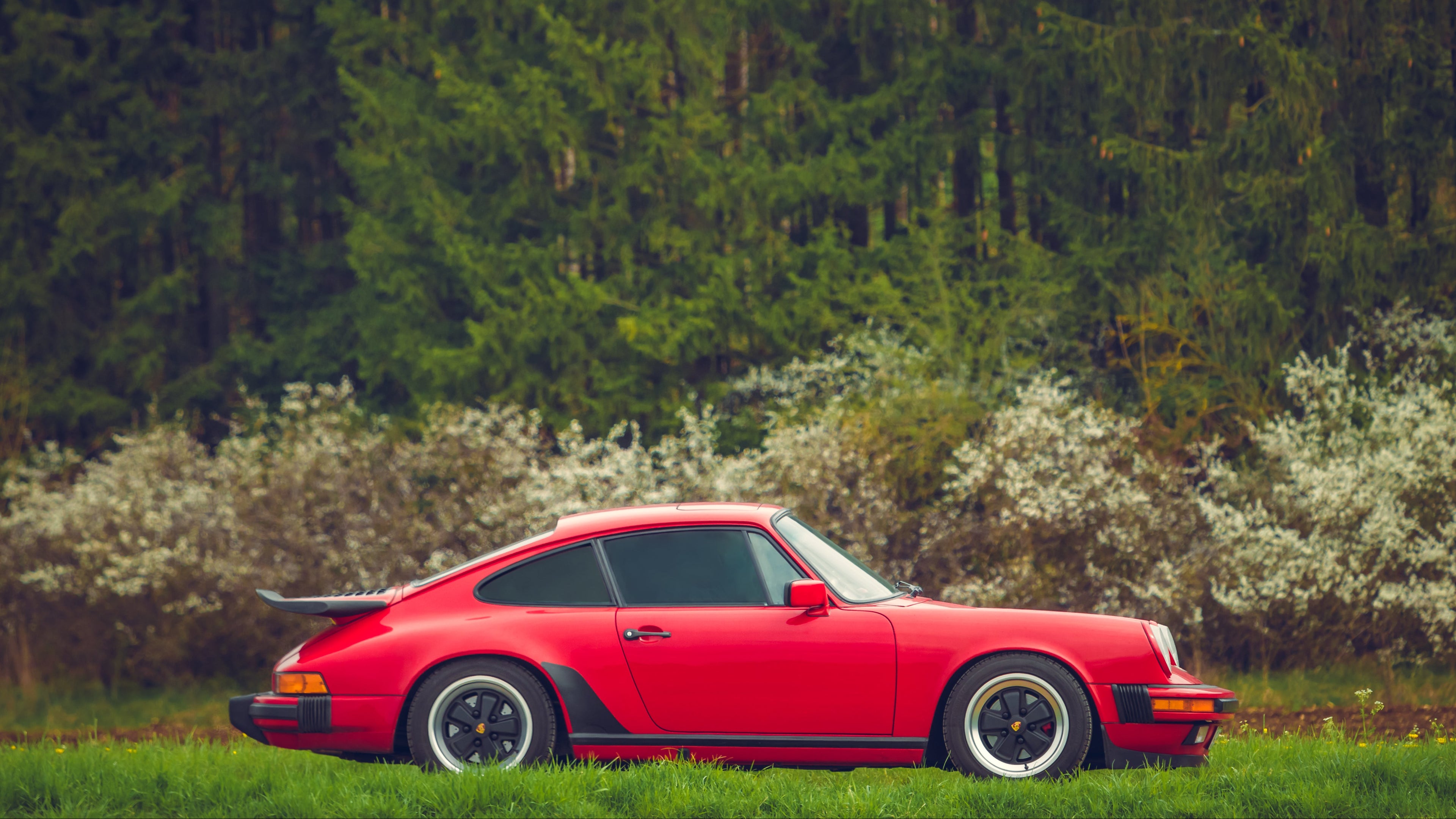 Red sports car parked in a grassy area with trees and flowers in the background